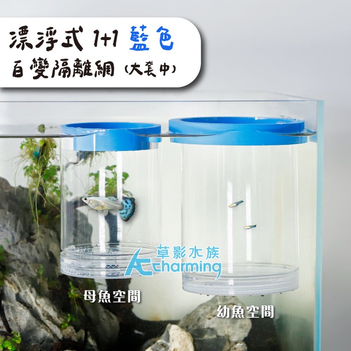 【AC草影】漂浮式 孔雀魚繁殖隔離盒【一組】孔雀魚隔離 小魚躲藏 小蝦躲避 孔雀魚繁殖 飼育盒 1+1 百變隔離網-規格圖9