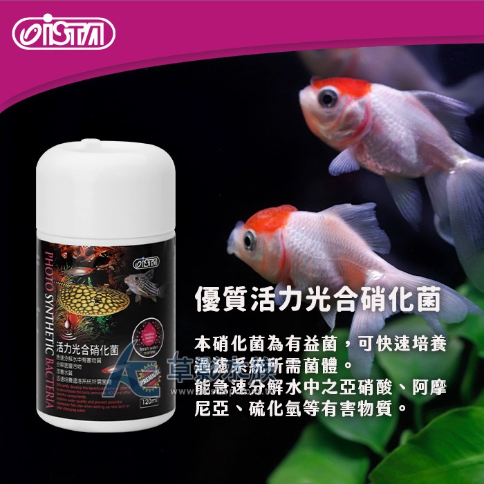 【AC草影】ISTA 伊士達 優質活力光合硝化菌【一罐】消化菌 開缸菌 有益菌 光合菌-規格圖5