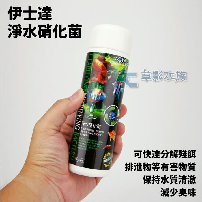 【AC草影】ISTA 伊士達 優質淨水硝化菌（240ML）【一罐】消化菌 培菌用 魚缸開缸菌 水族箱硝化菌 水質穩定-細節圖2