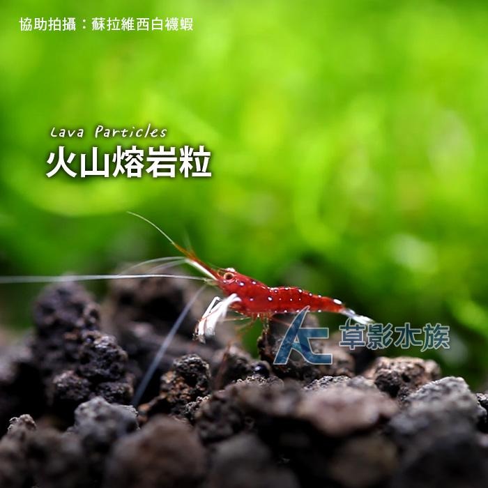 【AC草影】MAXX 極限 火山熔岩粒（0.5~1cm/10L）【一包】火山沙 火山粒 火山石 蘇拉維西底砂 蝦蝦底床-細節圖2