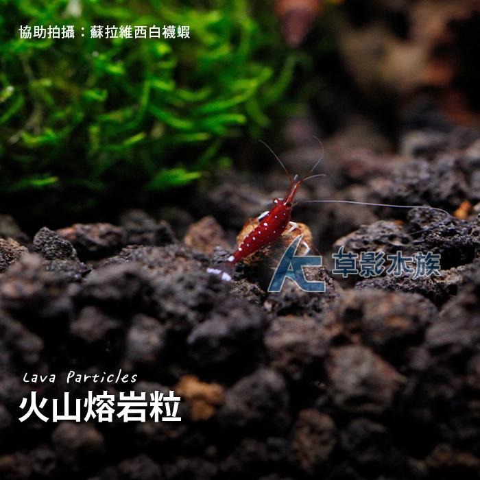 【AC草影】MAXX 極限 火山熔岩粒（0.5~1cm/10L）【一包】火山沙 火山粒 火山石 蘇拉維西底砂 蝦蝦底床-細節圖3