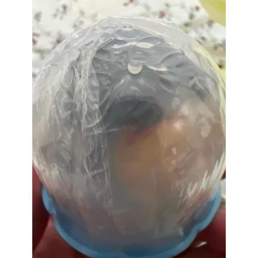 現貨單售 精靈寶可夢 飾品收納盒 P8 扭蛋 環保扭蛋 飾品盒 皮卡丘 沼王 神奇寶貝 萬代 提布莉 雪童 雪童子-細節圖2