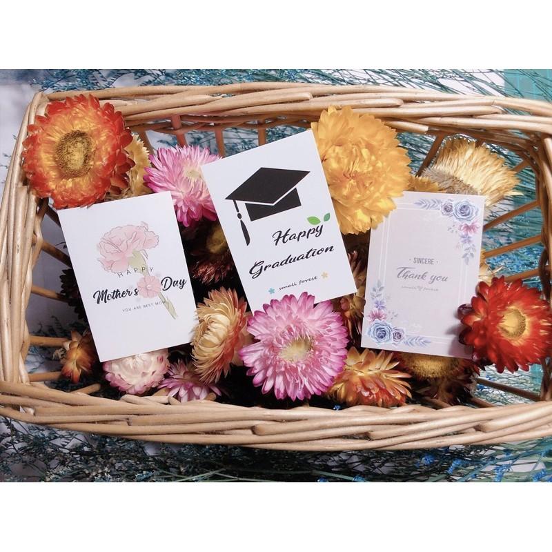 買五送一 太陽玫瑰 乾燥花 通草花 花束 畢業 禮物 情人節 滿天星 卡斯比亞-細節圖9