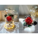 玻璃燈罩 永生花 玫瑰花 乾燥花 畢業花束 花束 情人節 生日 禮物畢業 康乃馨 伴娘禮 捧花 婚禮小物 乾燥花燈罩-規格圖9