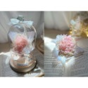 玻璃燈罩 永生花 玫瑰花 乾燥花 畢業花束 花束 情人節 生日 禮物畢業 康乃馨 伴娘禮 捧花 婚禮小物 乾燥花燈罩-規格圖9