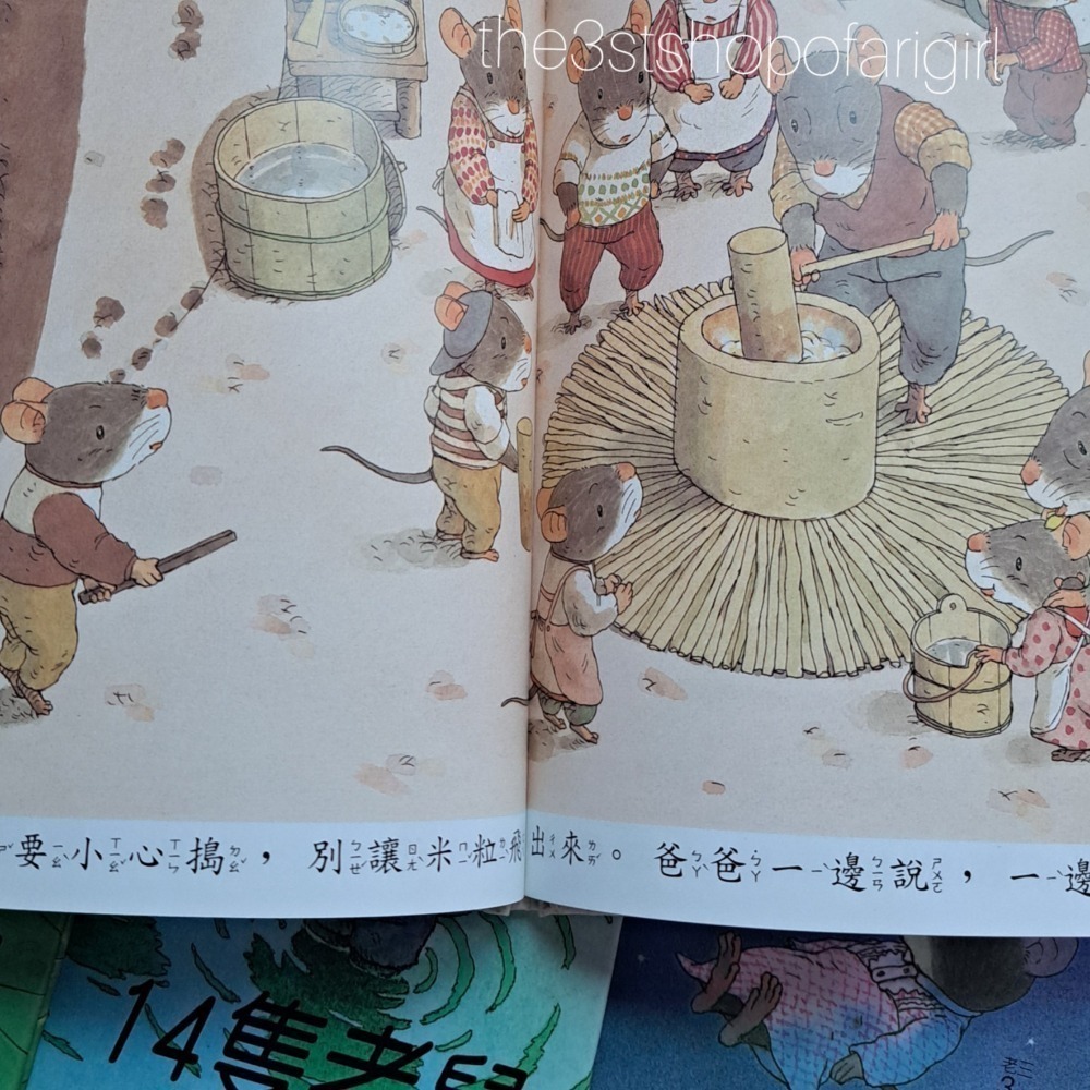 自有書 漢聲 14隻老鼠套書(12本繪本+1媽媽手冊)-細節圖8