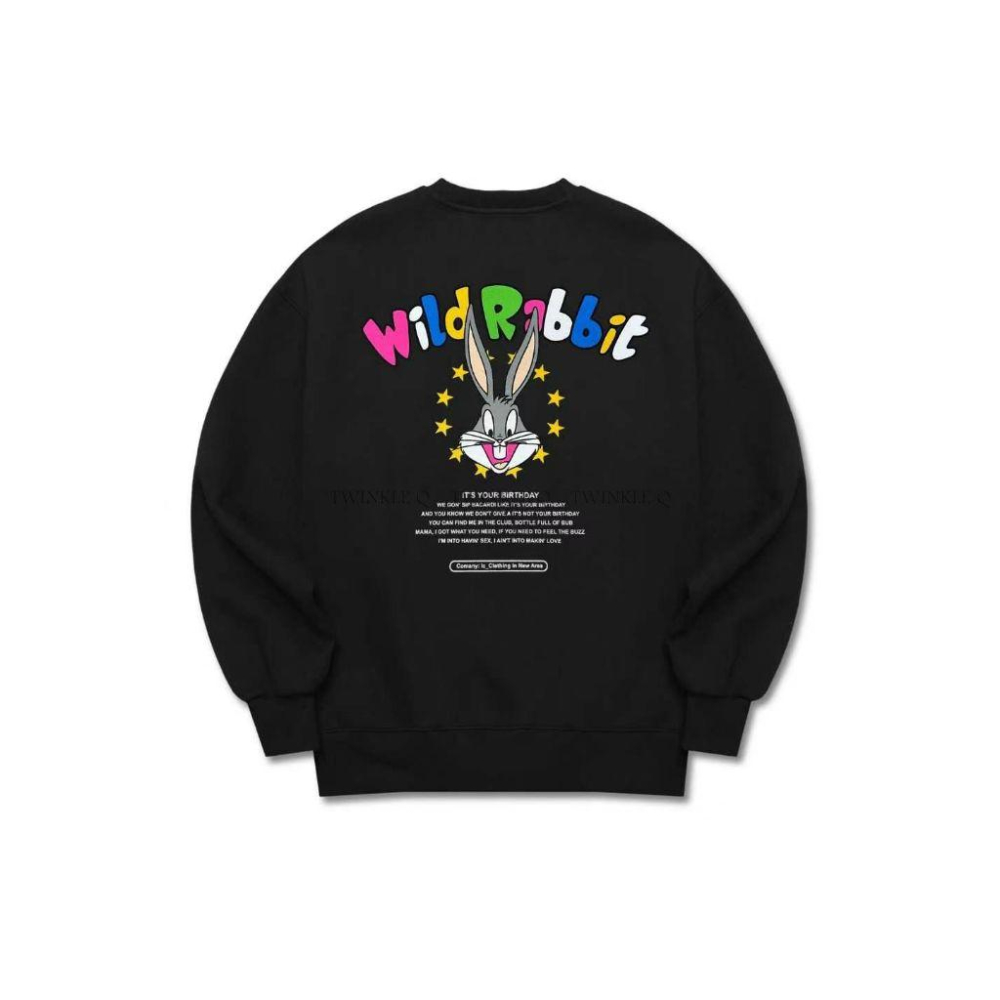 Twinkle Q韓國代購(現貨+預購) ✈️東大門🔥南大門正韓 彩色字母 兔兔印花 大學t 休閒 長袖t恤 男女中性-細節圖3