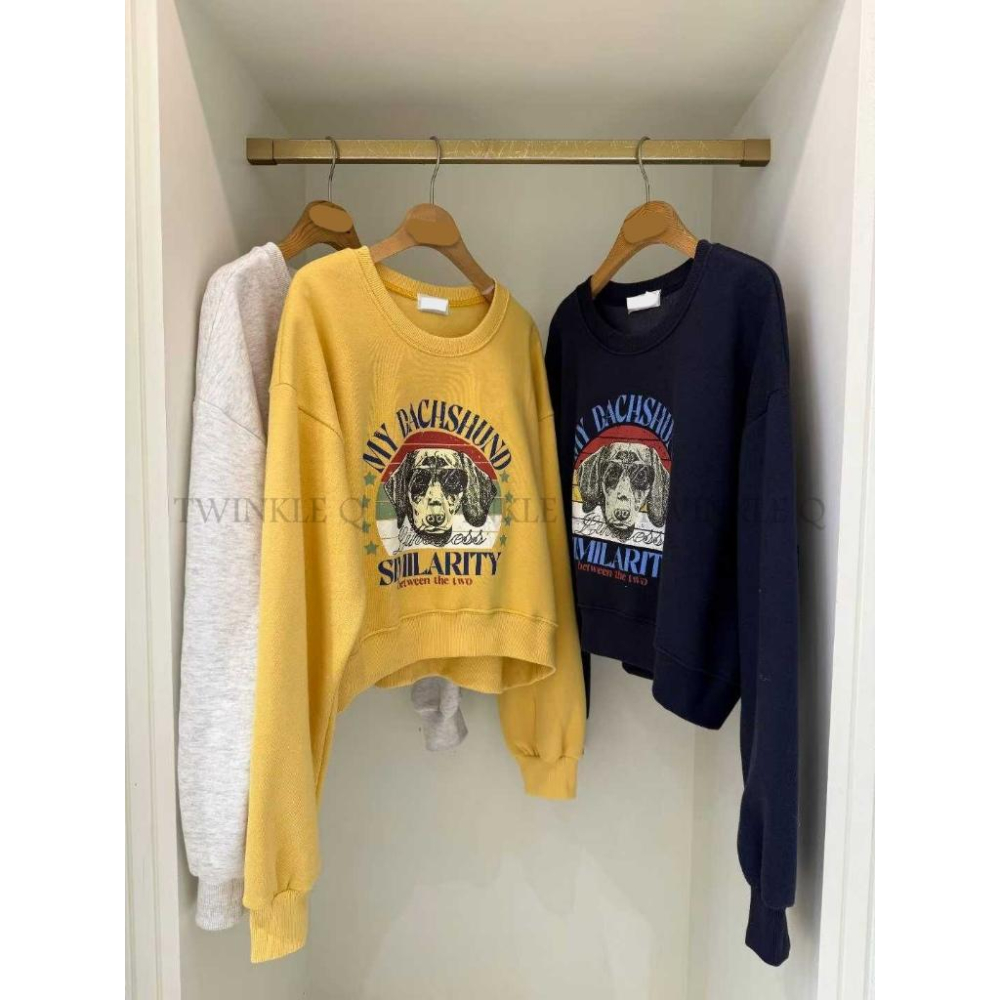 🎀TwinkleQ韓國代購BUY好物-預購✈️正韓🇰🇷 大學t 狗狗 印花 刷毛 休閒上衣 長袖t恤 寬鬆 大學踢-細節圖8