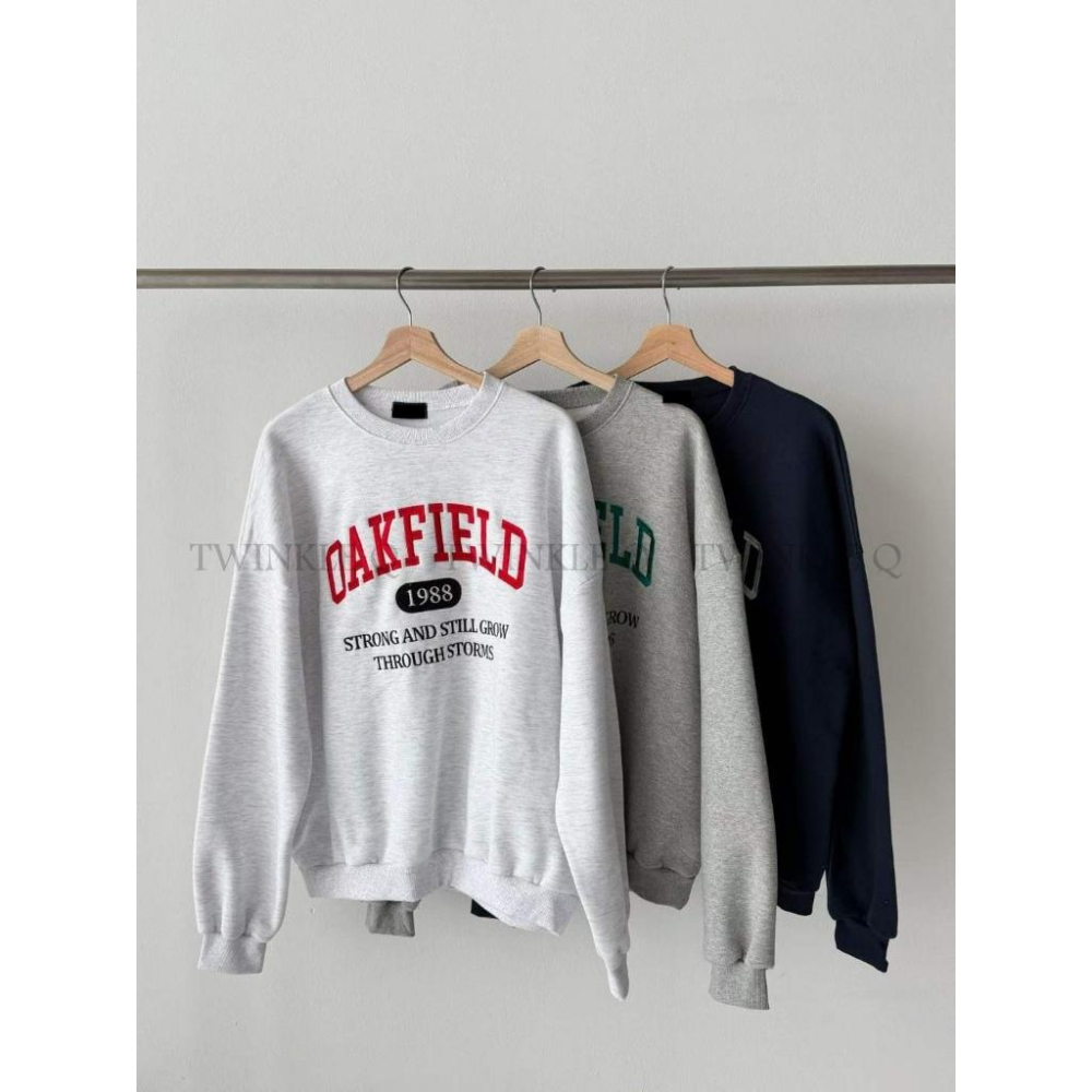 🎀TwinkleQ韓國代購BUY好物-預購✈️正韓🇰🇷 大學t 字母 刺繡 刷毛 長袖上衣 長t 寬鬆t恤 大學踢-細節圖9