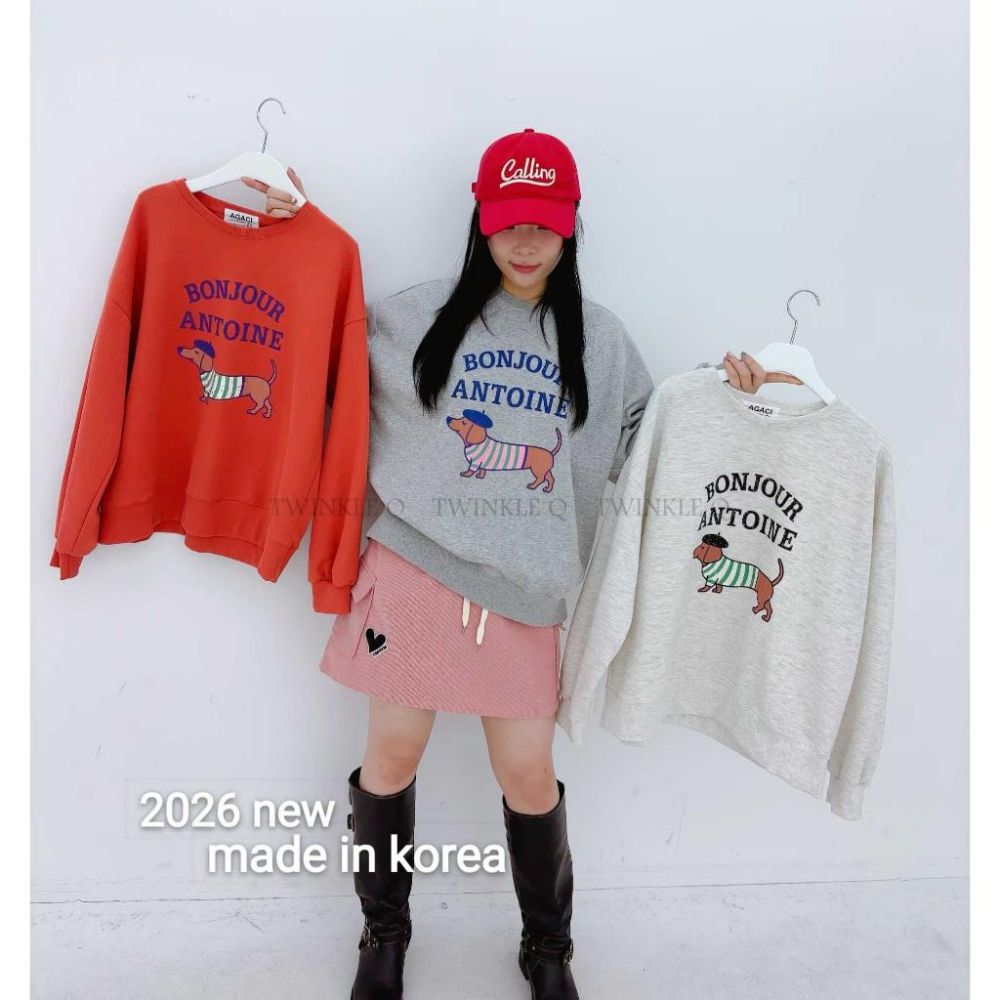 🎀TwinkleQ韓國代購BUY好物-預購✈️正韓🇰🇷 大學t 狗狗 字母印花 長袖上衣 長t 休閒上衣 大學踢-細節圖6