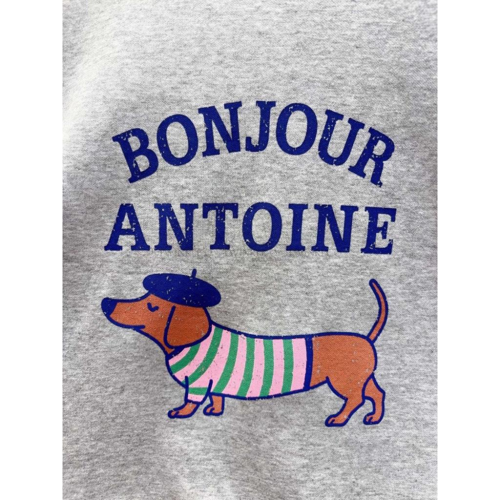 🎀TwinkleQ韓國代購BUY好物-預購✈️正韓🇰🇷 大學t 狗狗 字母印花 長袖上衣 長t 休閒上衣 大學踢-細節圖7