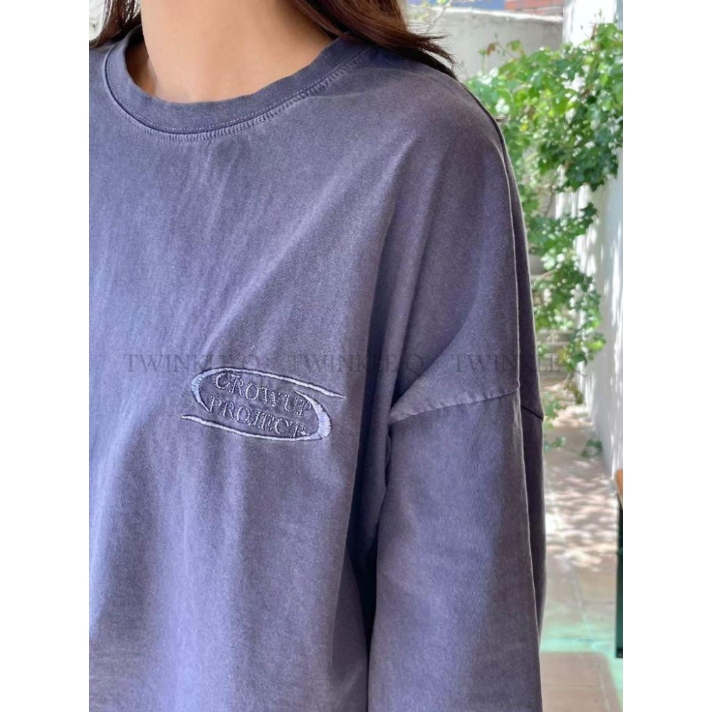 🎀TwinkleQ韓國代購BUY好物-預購✈️正韓🇰🇷 短袖t恤 字母 刺繡 貼布 水洗t恤 韓國t恤 上衣 短t-細節圖5