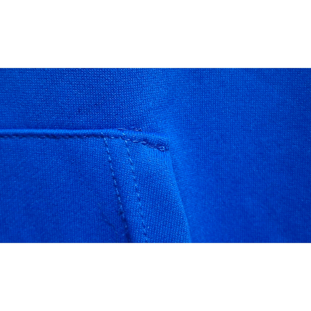 姜小舖XL號Dito男用獅頭圖案藍色柔軟棉質長袖連帽寬鬆上衣 帽T 長T 棉T 春秋 個性 大尺碼 帥氣 大學T-細節圖2