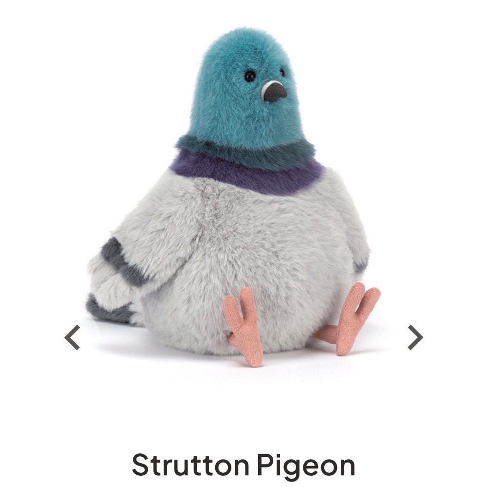 【Jellycat 正品代購】英國🇬🇧空運直送 Strutton Pigeon 紐約鴿 絨毛玩偶 🐦最潮城市鴿-細節圖2