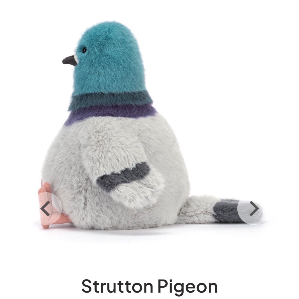 【Jellycat 正品代購】英國🇬🇧空運直送 Strutton Pigeon 紐約鴿 絨毛玩偶 🐦最潮城市鴿-細節圖3