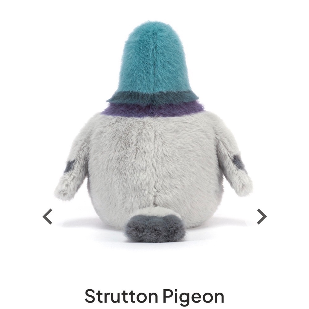 【Jellycat 正品代購】英國🇬🇧空運直送 Strutton Pigeon 紐約鴿 絨毛玩偶 🐦最潮城市鴿-細節圖4
