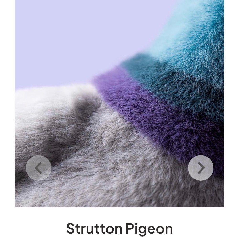 【Jellycat 正品代購】英國🇬🇧空運直送 Strutton Pigeon 紐約鴿 絨毛玩偶 🐦最潮城市鴿-細節圖5