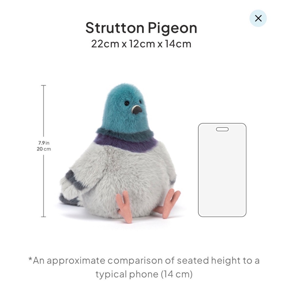 【Jellycat 正品代購】英國🇬🇧空運直送 Strutton Pigeon 紐約鴿 絨毛玩偶 🐦最潮城市鴿-細節圖6
