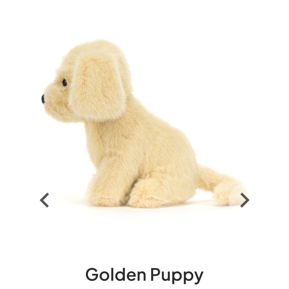 【Jellycat 正品代購】英國🇬🇧空運直送 Jellycat Golden Puppy 小金毛給你最溫暖的抱抱-細節圖2