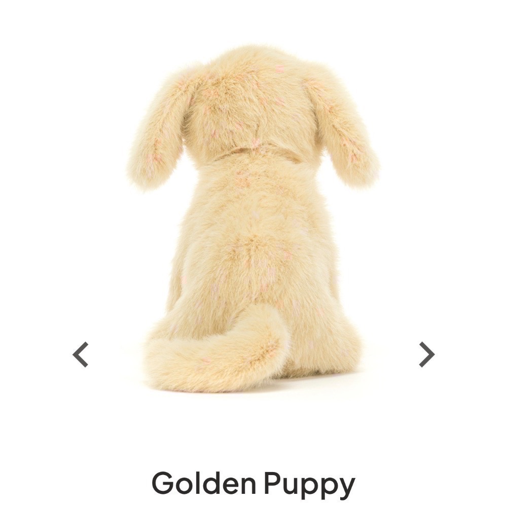 【Jellycat 正品代購】英國🇬🇧空運直送 Jellycat Golden Puppy 小金毛給你最溫暖的抱抱-細節圖3