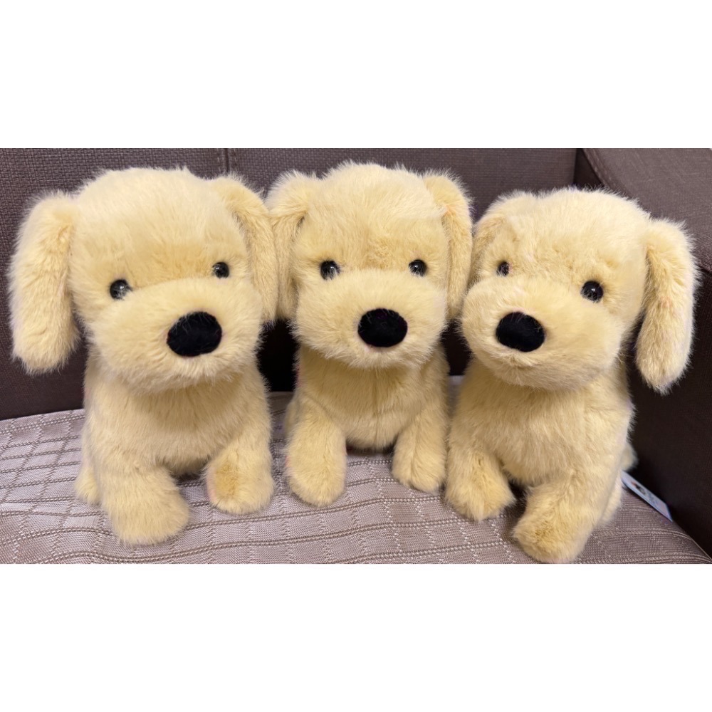 【Jellycat 正品代購】英國🇬🇧空運直送 Jellycat Golden Puppy 小金毛給你最溫暖的抱抱-細節圖4