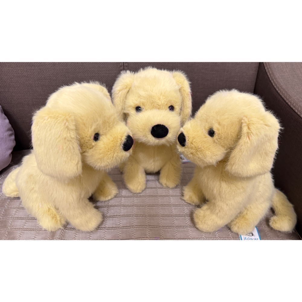 【Jellycat 正品代購】英國🇬🇧空運直送 Jellycat Golden Puppy 小金毛給你最溫暖的抱抱-細節圖5
