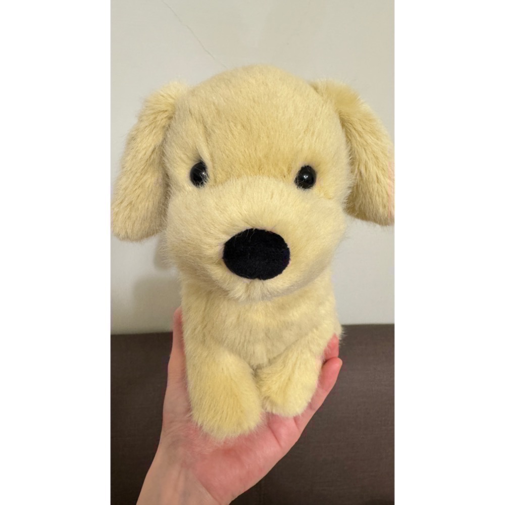 【Jellycat 正品代購】英國🇬🇧空運直送 Jellycat Golden Puppy 小金毛給你最溫暖的抱抱-細節圖6