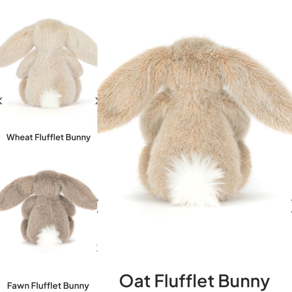 【Jellycat 正品代購】英國🇬🇧空運直送 18cm小麥/燕麥/米棕邦尼兔 新品限量發售-細節圖2