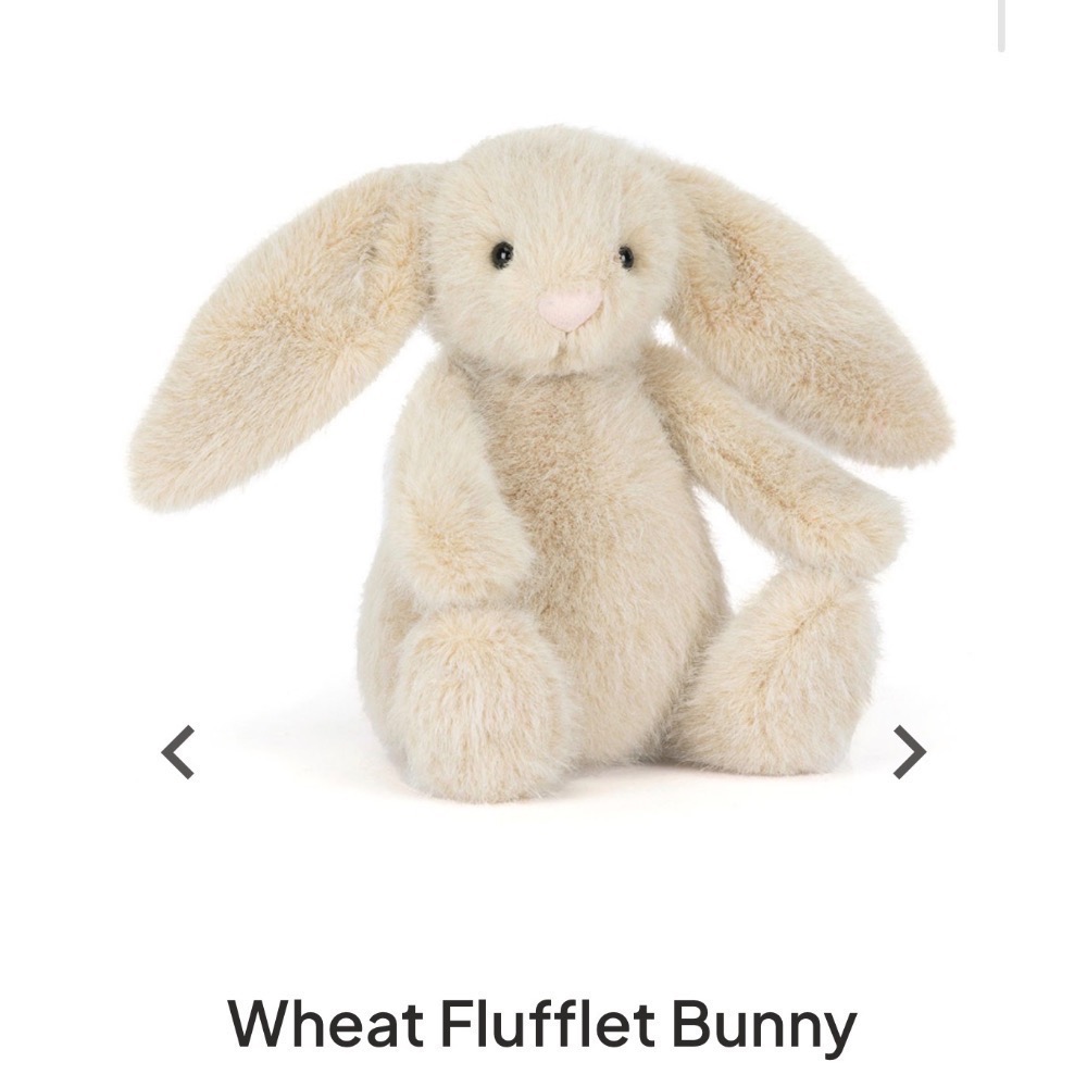 【Jellycat 正品代購】英國🇬🇧空運直送 18cm小麥/燕麥/米棕邦尼兔 新品限量發售-規格圖4
