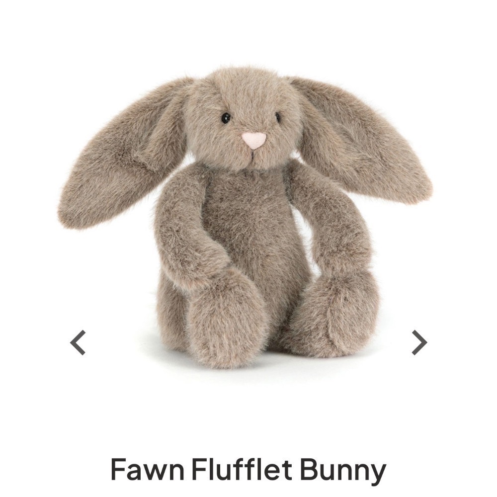 【Jellycat 正品代購】英國🇬🇧空運直送 18cm小麥/燕麥/米棕邦尼兔 新品限量發售-規格圖4