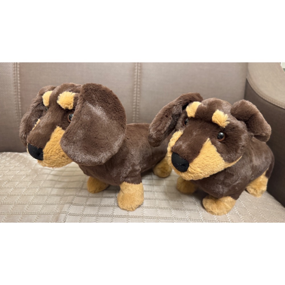 【Jellycat 正品代購】英國🇬🇧空運 Jellycat 臘腸狗 正品保證-細節圖3