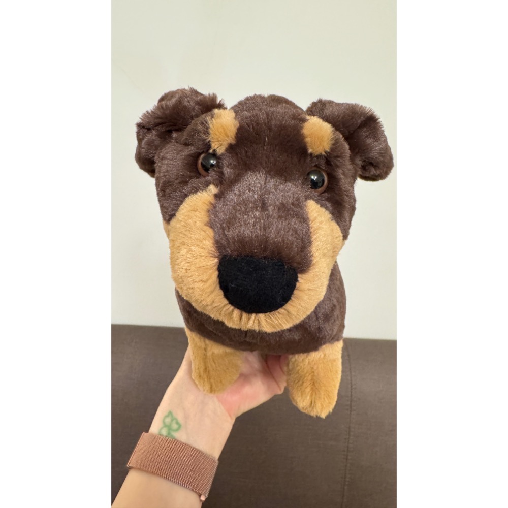 【Jellycat 正品代購】英國🇬🇧空運 Jellycat 臘腸狗 正品保證-細節圖4