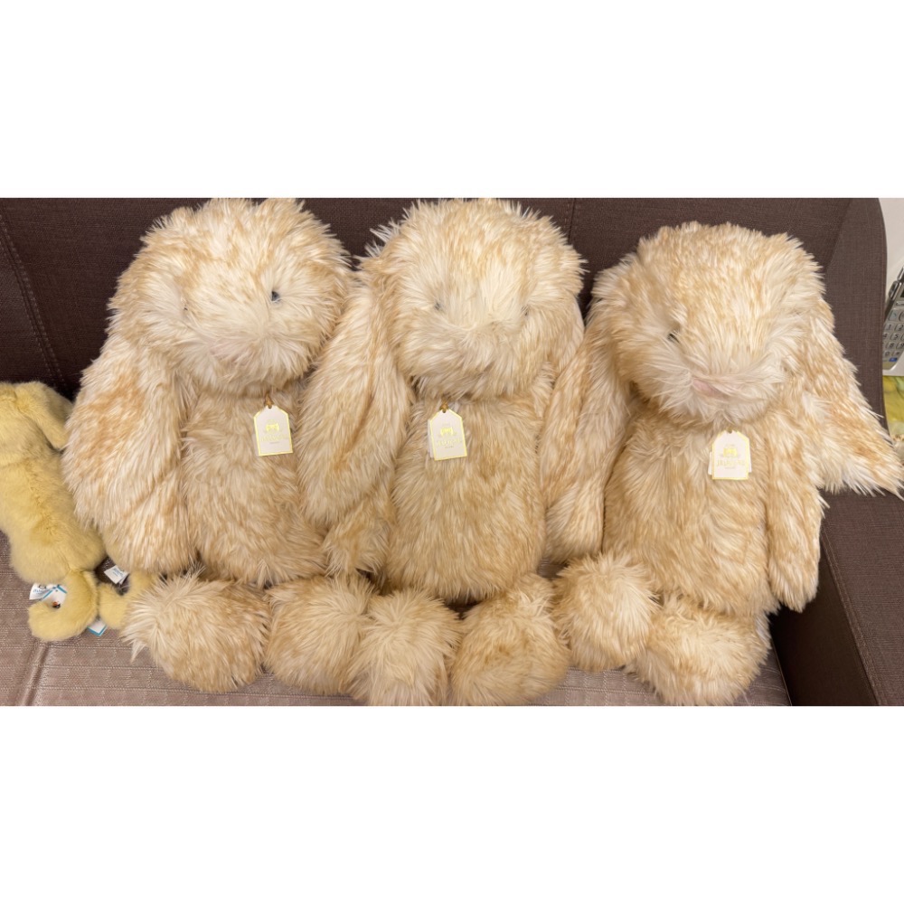 【Jellycat 正品代購】英國🇬🇧空運直送 Jellycat 51金標斯普林洛潦草大兔-細節圖5