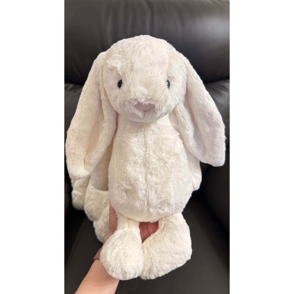 【Jellycat 正品代購】英國🇬🇧空運 Jellycat 36 奶油白兔-細節圖5