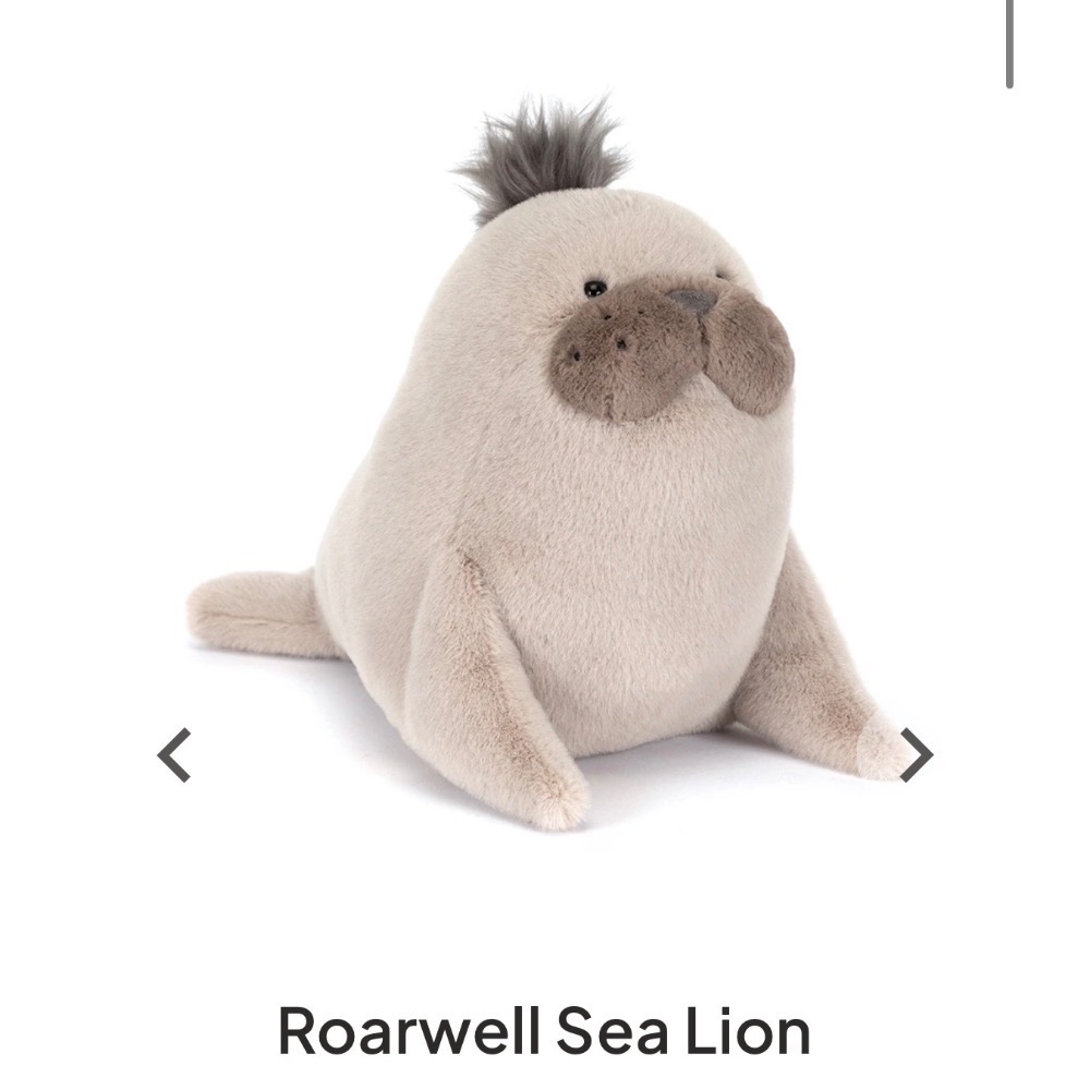 【Jellycat 正品代購】英國🇬🇧空運直送 Jellycat 海獅🦭 5月新品-細節圖2