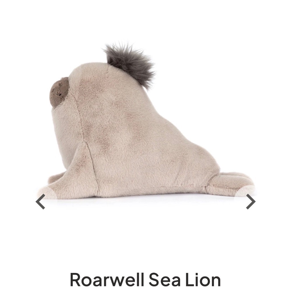 【Jellycat 正品代購】英國🇬🇧空運直送 Jellycat 海獅🦭 5月新品-細節圖4