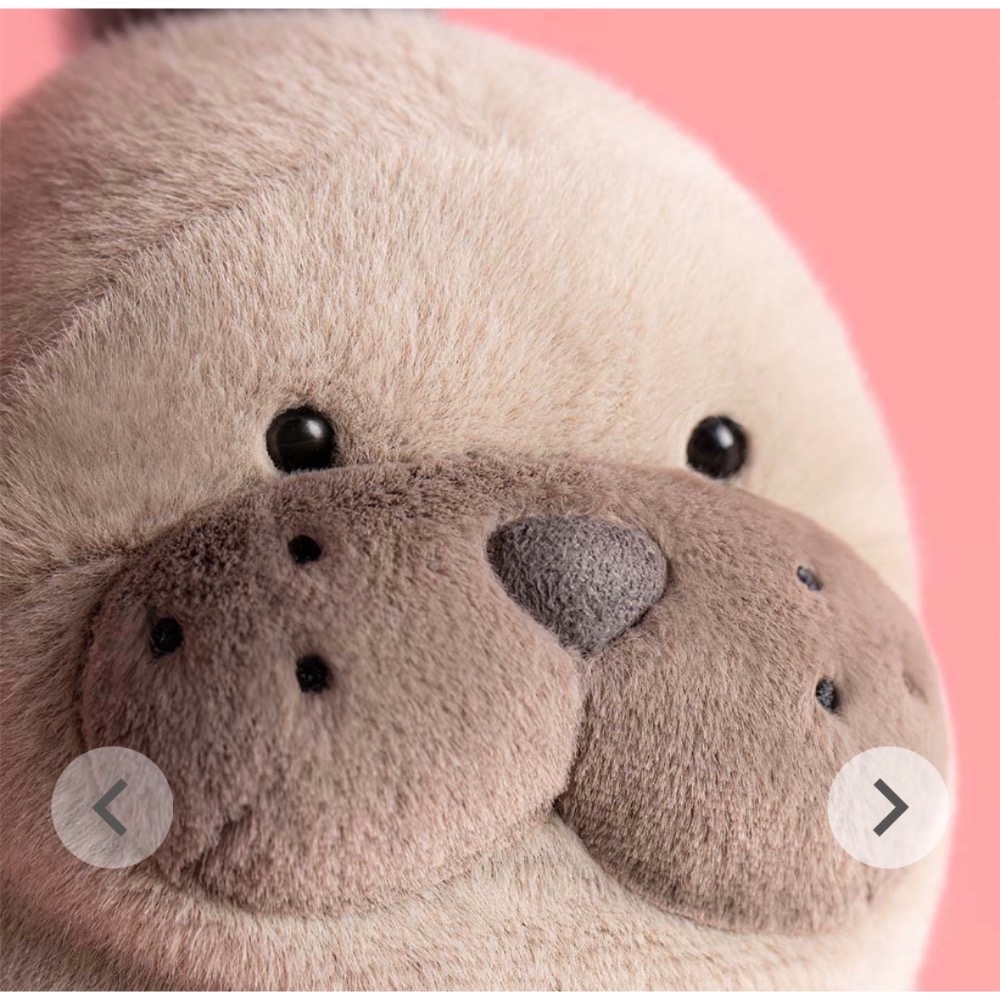【Jellycat 正品代購】英國🇬🇧空運直送 Jellycat 海獅🦭 5月新品-細節圖5