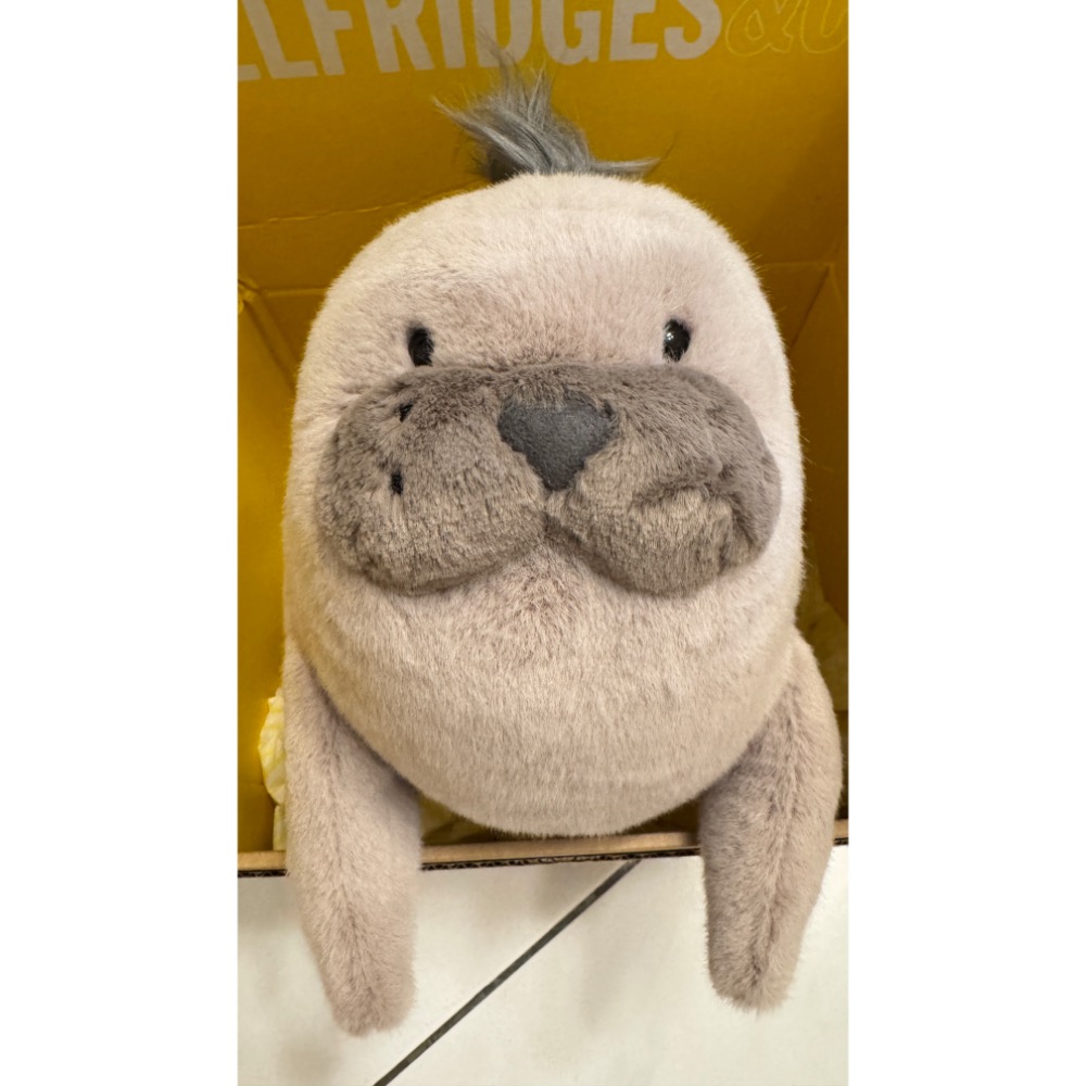 【Jellycat 正品代購】英國🇬🇧空運直送 Jellycat 海獅🦭 5月新品-細節圖6