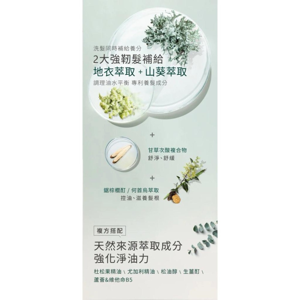 AROMASE艾瑪絲— 森系列 | 強健豐盈洗髮精400mL-細節圖3