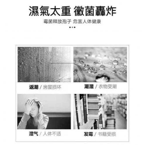 【現貨】傘型可掛飾除濕盒套組-細節圖5