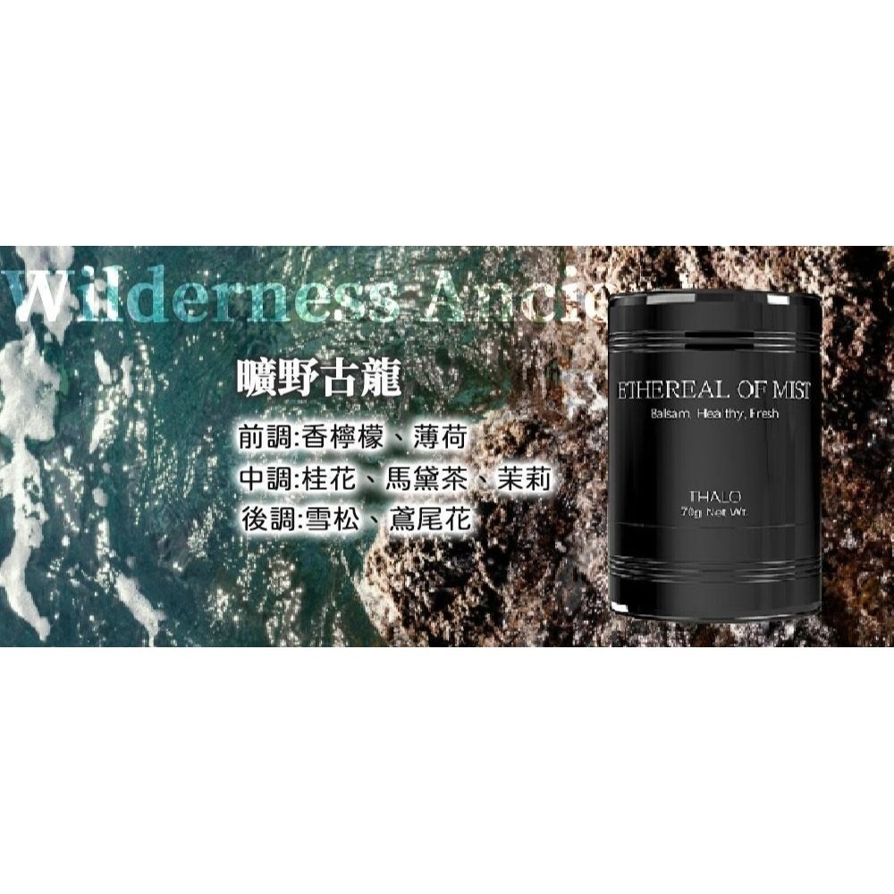 【現貨】長效款 車載植萃固態香薰-細節圖8