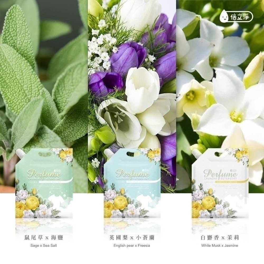 【現貨】倍立淨 經典香水款洗衣精3包組-細節圖2