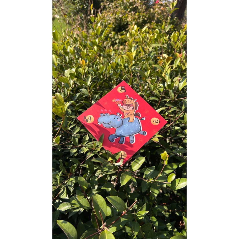 紅包斗方五入禮包-細節圖3