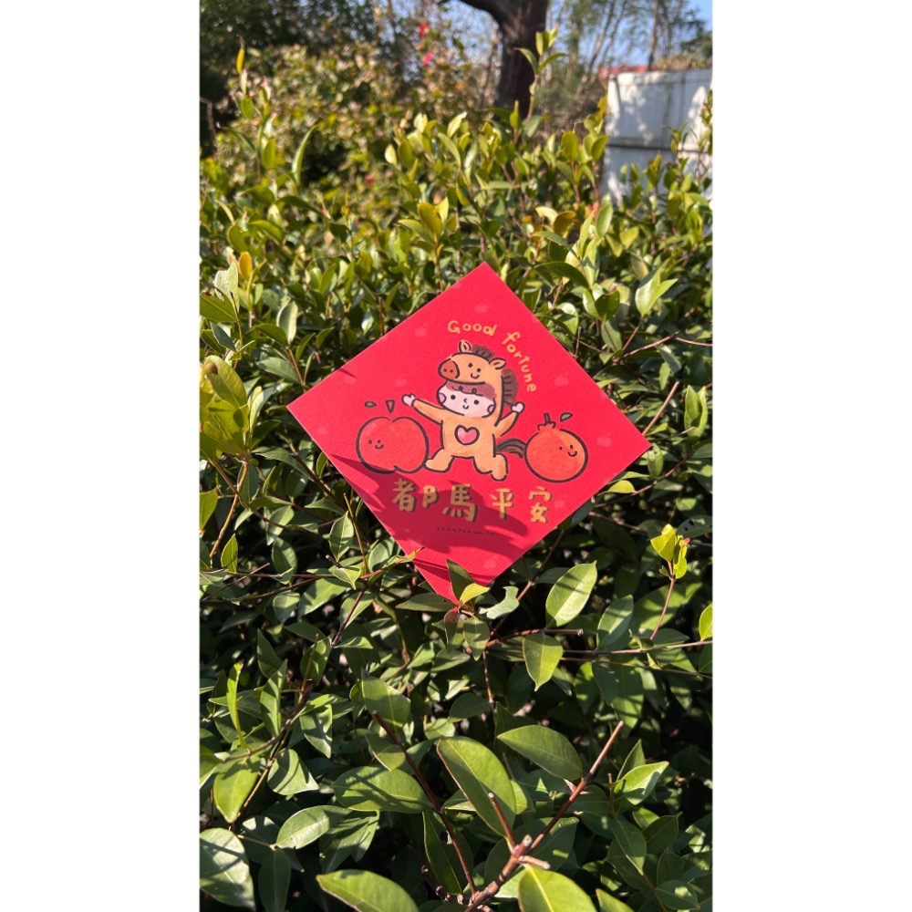 紅包斗方五入禮包-細節圖6