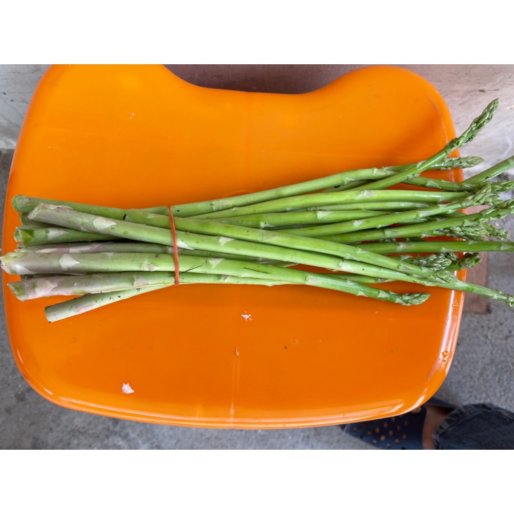 新鮮現採蘆筍300g/600g±10%蘆筍炒肉絲 涼拌蘆筍-細節圖4