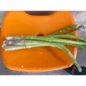新鮮現採蘆筍300g/600g±10%蘆筍炒肉絲 涼拌蘆筍-規格圖4