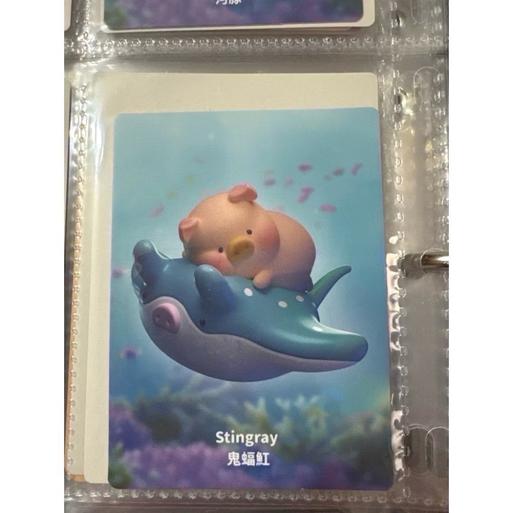 泡泡瑪特公仔所有IP-規格圖5