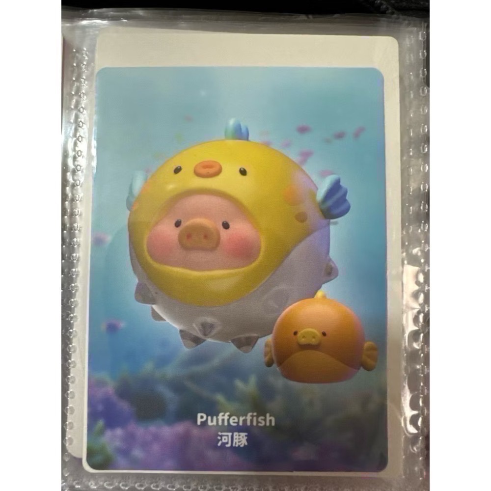泡泡瑪特公仔所有IP-規格圖5
