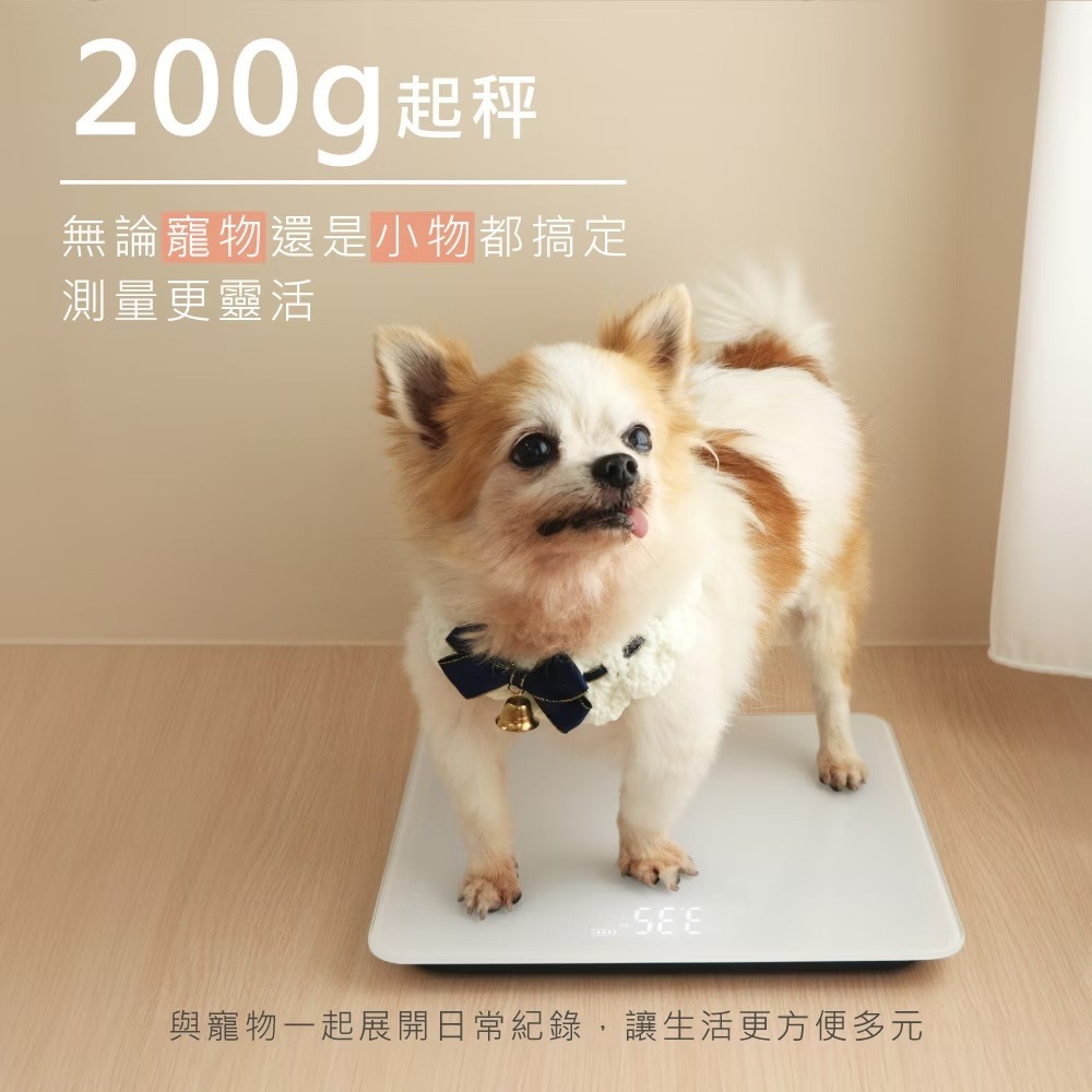 ***外盒贈品字樣***!!!全新贈品!!! KINYO 簡約大螢幕體重計（DS-6563）-細節圖3