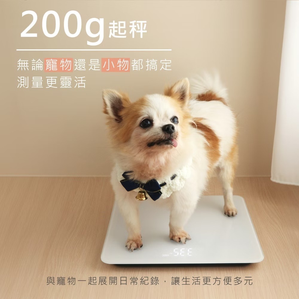***外盒贈品字樣***!!!全新贈品!!! KINYO 簡約大螢幕體重計（DS-6563）-細節圖3